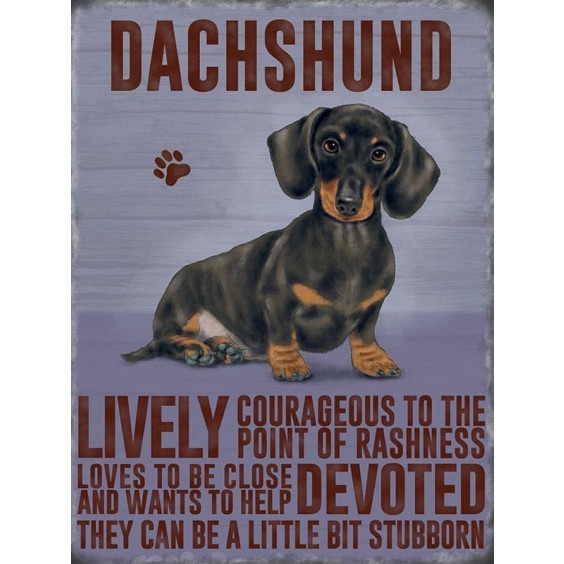 Dachshund Metal Sign 400 x300mm