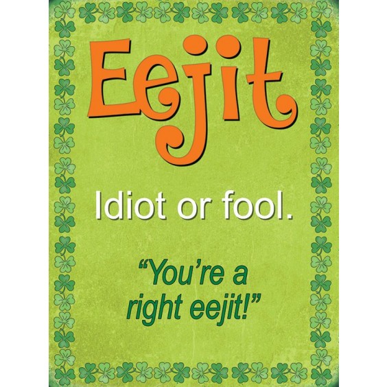 Eejit Metal Sign 400 x300mm