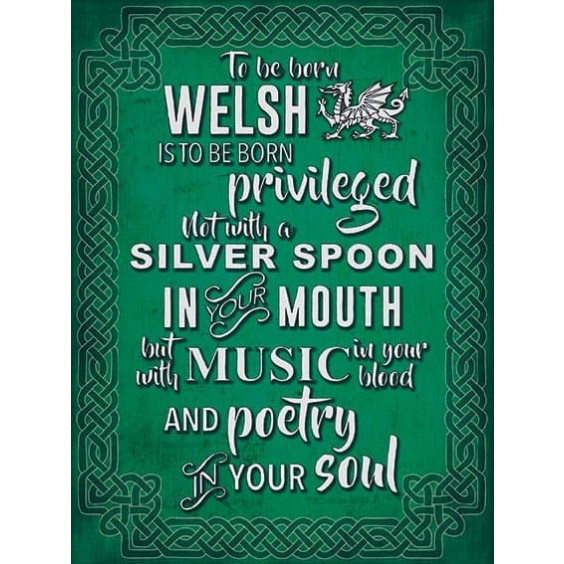 To Be Born Welsh Metal Sign 400 x300mm