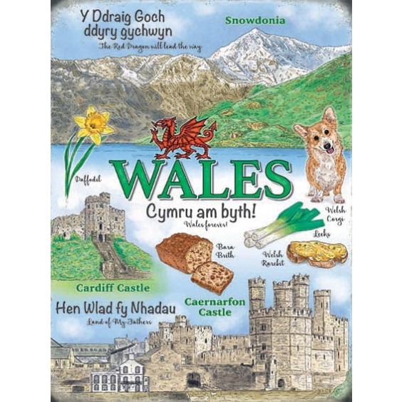 Wales Metal Sign 400 x300mm
