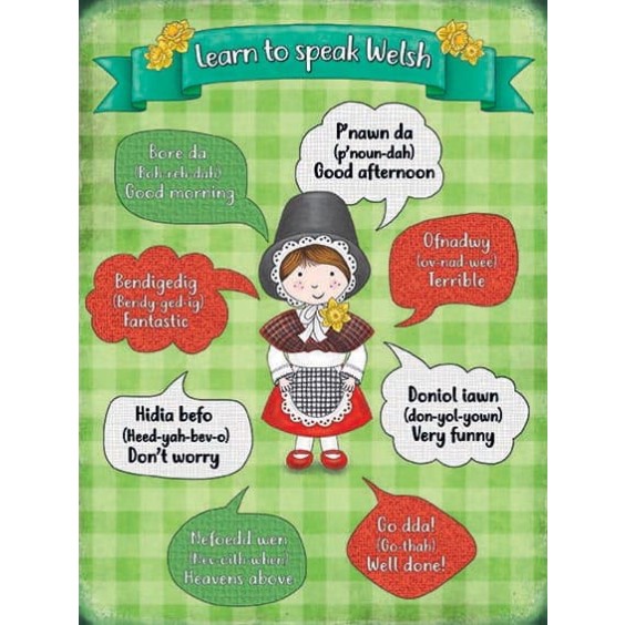Learn To Speak Welsh Metal Sign 400 x300mm