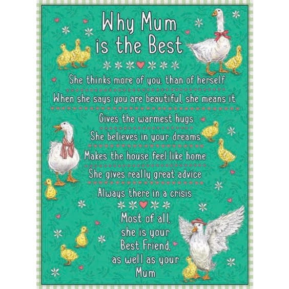 Why Mum Is The Best Metal Sign 400 x300mm
