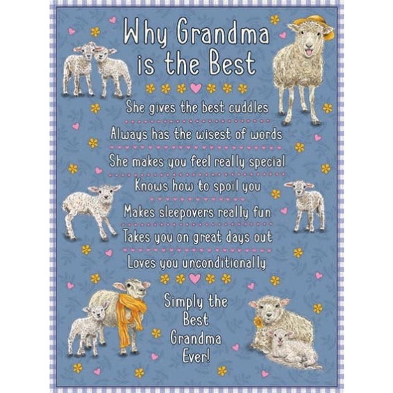 Why Grandma Is The Best Metal Sign 400 x300mm