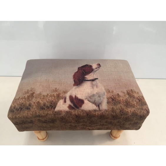 DOG FOOTSTOOL 40CMX25CMX25CM