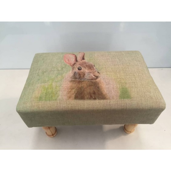 RABBIT FOOTSTOOL 40CMX25CMX25CM