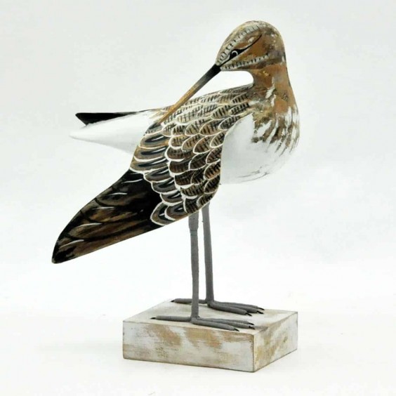 CURLEW PREENING WING 36x20x12cm