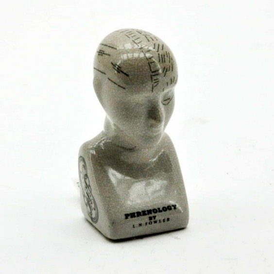 6" PHRENOLOGY HEAD