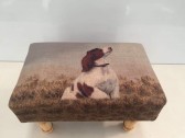 DOG FOOTSTOOL 40CMX25CMX25CM