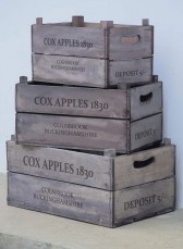 55x37x24CM SET 3 APPLE BOXES ASS