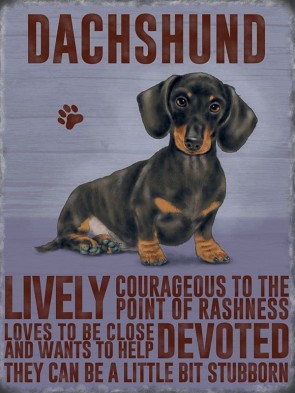 Dachshund Metal Sign 400 x300mm