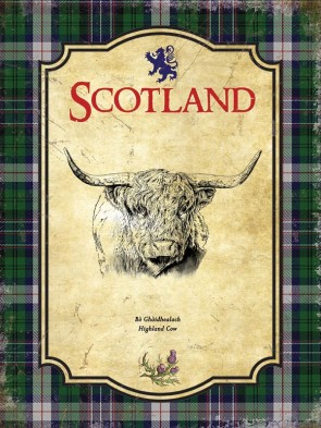 Scotland Metal Sign 400 x300mm