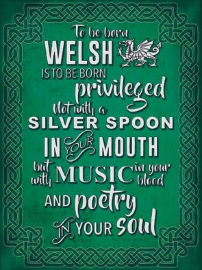 To Be Born Welsh Metal Sign 400 x300mm