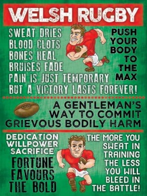 Welsh Rugby Metal Sign 400 x300mm