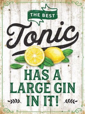 Gin And Tonic Metal Sign 400 x300mm