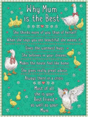 Why Mum Is The Best Metal Sign 400 x300mm