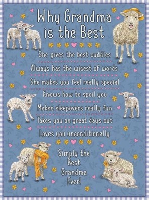 Why Grandma Is The Best Metal Sign 400 x300mm
