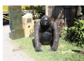 88CM FIBRE GLASS GORILLA