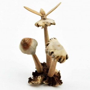 MUSHROOM ON STEM WITH BEE