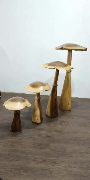 103CM SET 4 MUSHROOMS