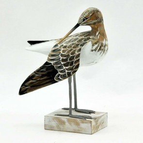 CURLEW PREENING WING 36x20x12cm