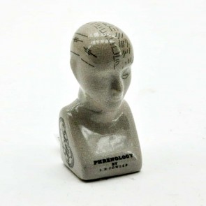6" PHRENOLOGY HEAD