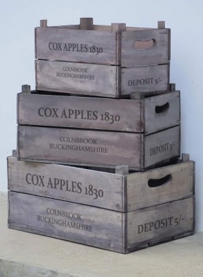 55x37x24CM SET 3 APPLE BOXES ASS